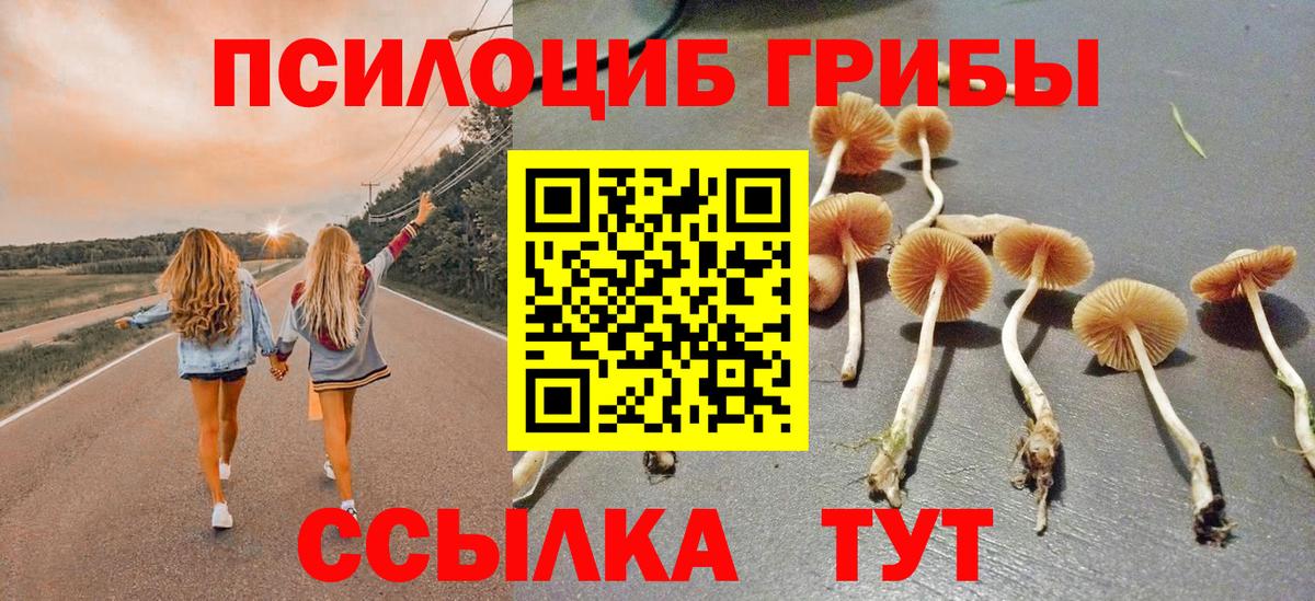 Галлюциногенные грибы мицелий Сердобск
