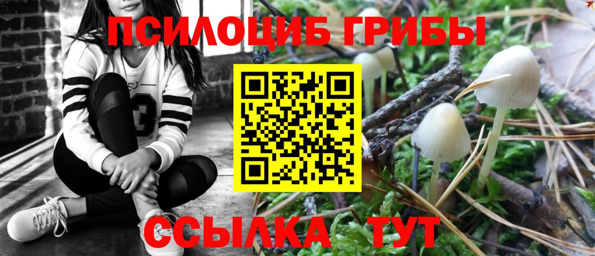 Меф мяу мяу Сердобск